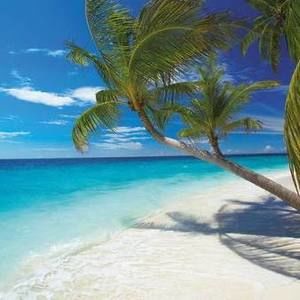 Meet your Posher, Van